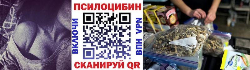 Купить  Баймак  Галлюциногенные грибы MAGIC MUSHROOMS 